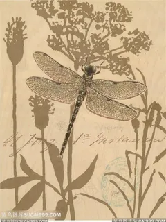 欧式花与蝴蝶装饰画