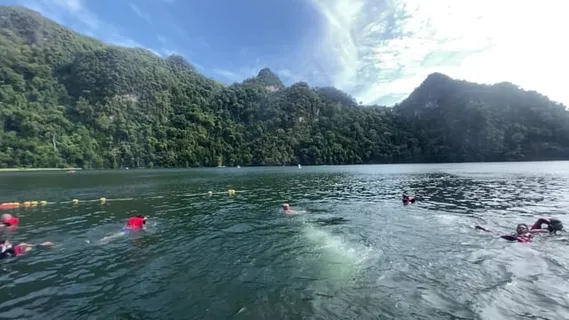 跳, 湖, 男人, 自然, 夏天, 乐趣, 喜悦, 行动