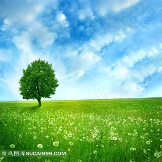高清草地天空大树图片下载