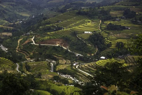 美丽乡村梯田风景图片 美丽乡村梯田风景图片