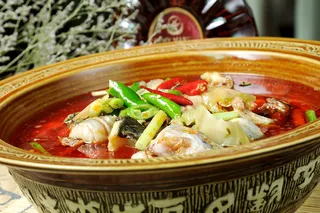 XCXC1709红汤江团