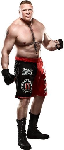 综合格斗 PNG, MMA PNG免抠(584x1365)