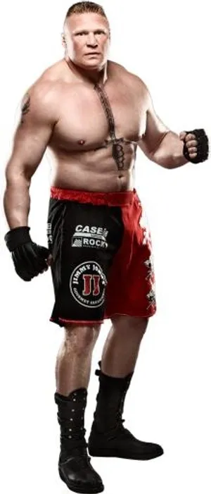 综合格斗 PNG, MMA PNG免抠