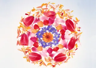 花团锦簇花瓣和紫花