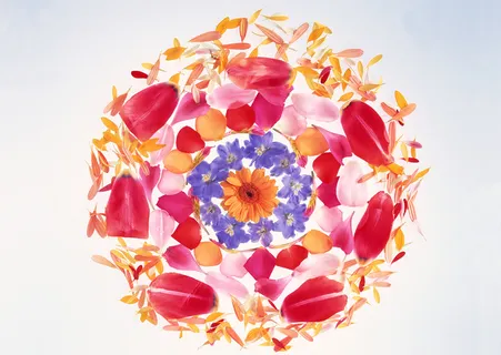 花团锦簇花瓣和紫花 花团锦簇花瓣和紫花