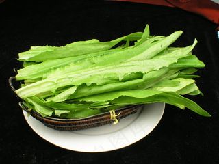  特油麦菜 