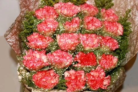 妇女节康乃馨花束图片 妇女节康乃馨花束图片