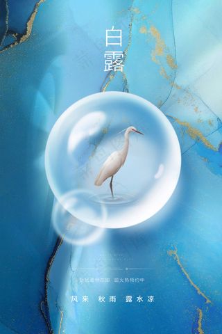 创意中国风白露传统节气海报
