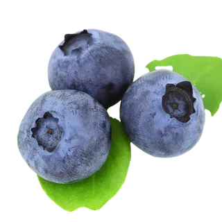 76蓝莓 (6)水果超市商品白底图免抠实物摄影png格式图片透明底