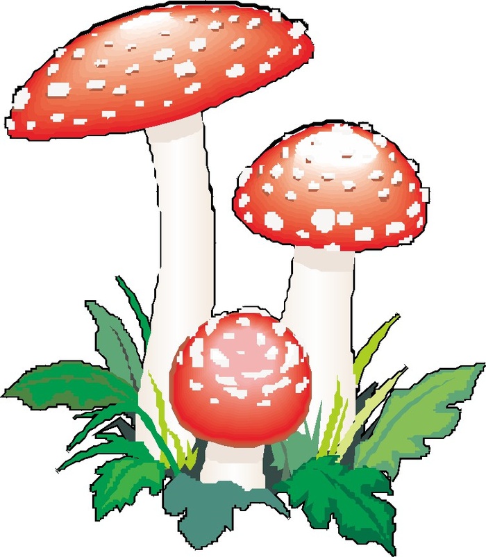 彩色卡通风蘑菇描摹素材矢量图cdr矢量模版下载