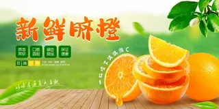绿色大自然脐橙橙子摄影图宣传展板