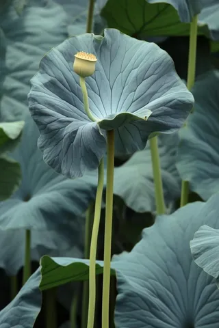 绿色简约节气清新意境背景