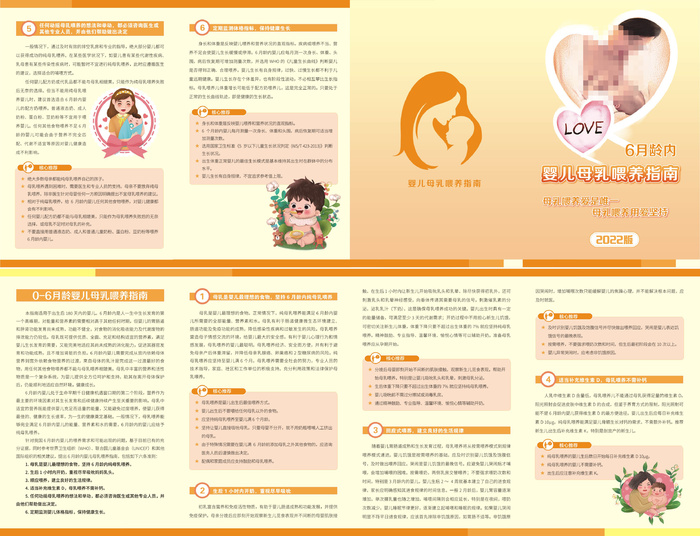 0-6月龄婴儿母乳喂养指南四折页cdr矢量模版下载