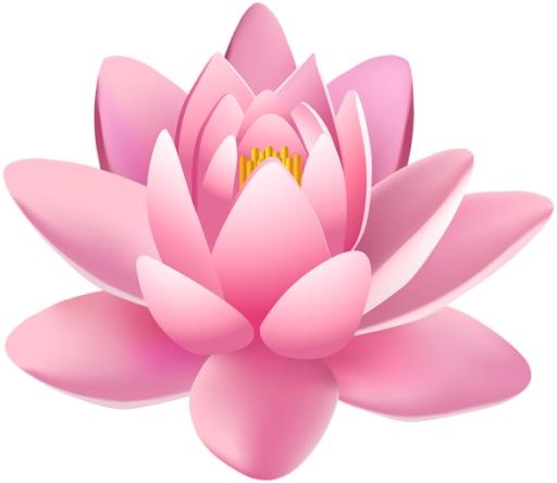 莲花 PNG免抠(600x521)
