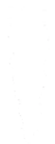 烟雾 PNG免抠(228x600)