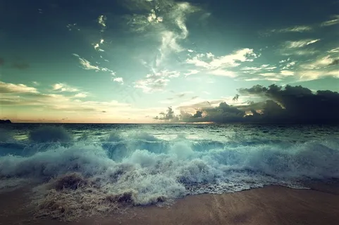 海边卷起的海浪 海边卷起的海浪