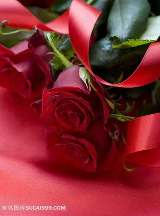 高清丝带红玫瑰素材图片下载