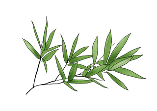 竹子水墨画中国风国画墨水书法竹子画