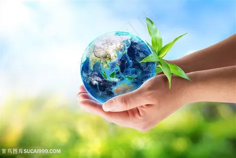 高清手捧地球生态环保图片 高清手捧地球生态环保图片