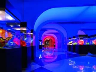 澳门米高梅金殿MGMMacau图片-第12张