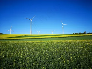 油菜田发电风车风景图片