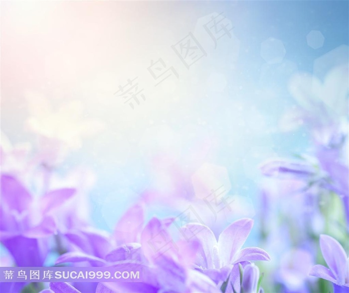 花草背景图片素材
