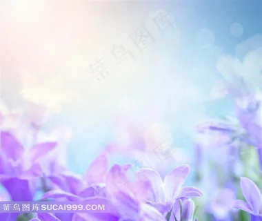 花草背景图片素材 花草背景图片素材