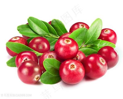 美味新鲜水果高清图片