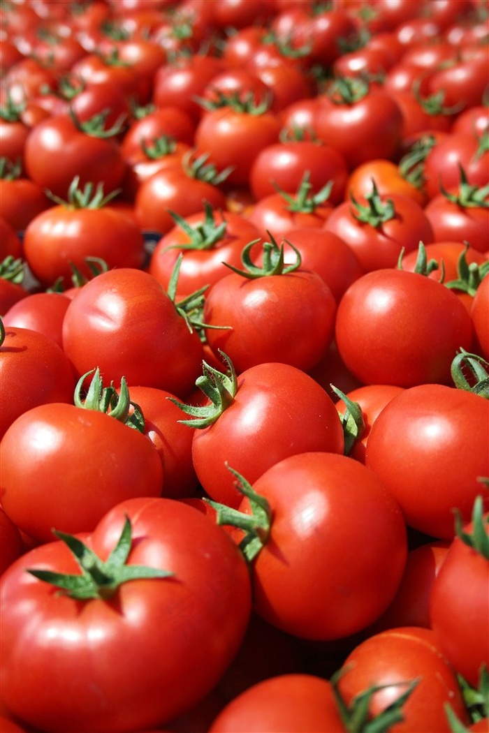 堆在一起的西红柿高清摄影