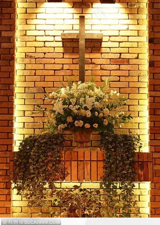 婚礼物语-殿堂里的玫瑰花