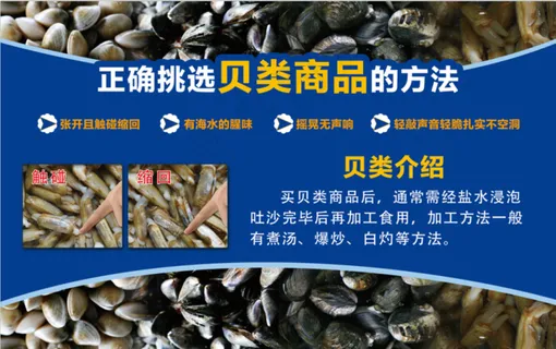 2021超市贝类海鲜挑选吊旗