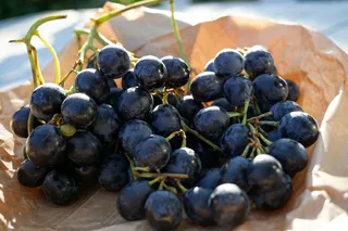 黑色食用葡萄图片