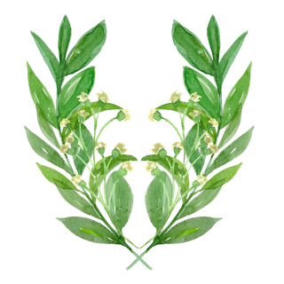 唯美森系手绘水彩花朵 免抠