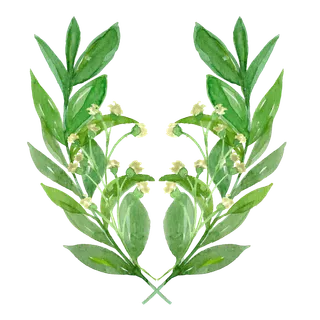 唯美森系手绘水彩花朵 免抠