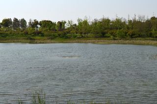 大蜀山森林公园风景图片-第4张