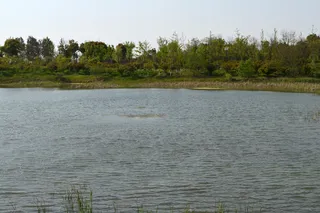 大蜀山森林公园风景图片-第4张