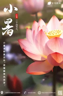 小暑节气池塘荷花莲花简约海报