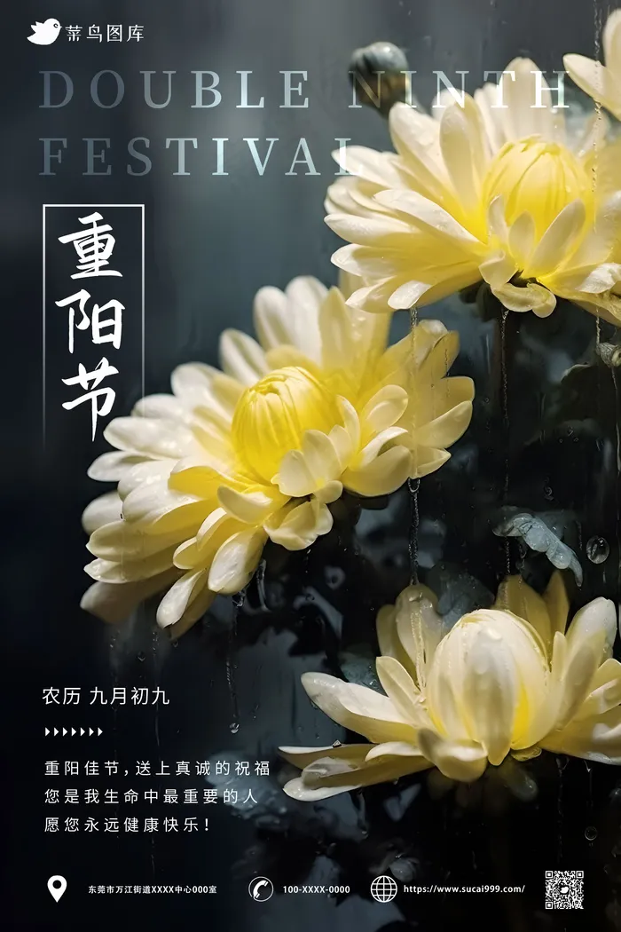 菊花背景 简约风重阳节海报ai矢量模版下载