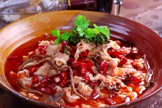 XCXC0335茶树红汤肥牛