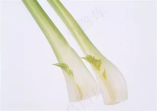 新鲜芹菜蔬菜高清素材图片