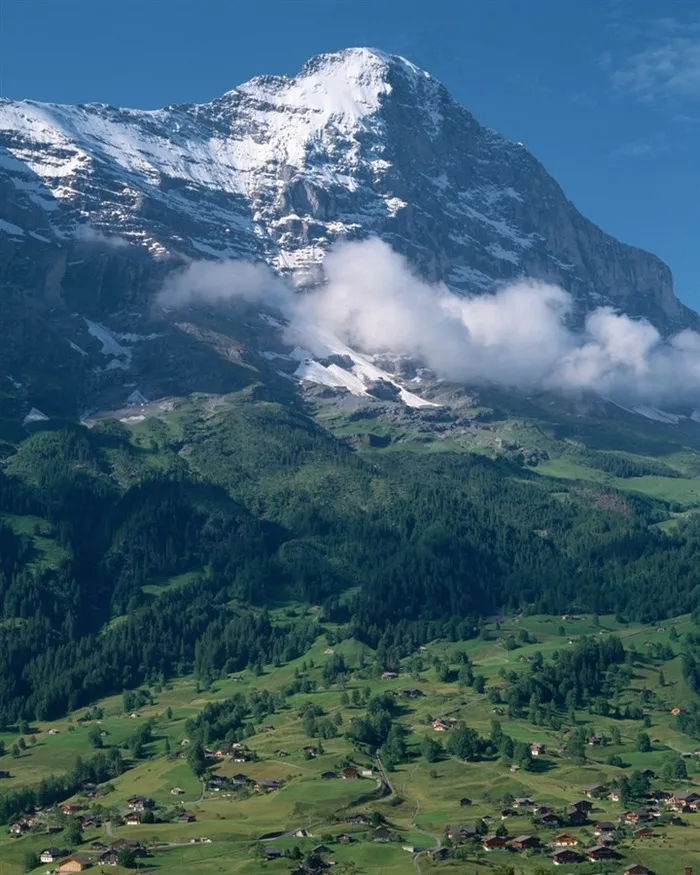 雪山脚下草原上的森林和房屋