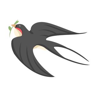 水彩手绘春季春天柳树柳条枝条小鸟小燕子元素PSD设计素材PNG图片