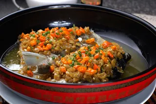 XCXC1544海山椒鱼头王