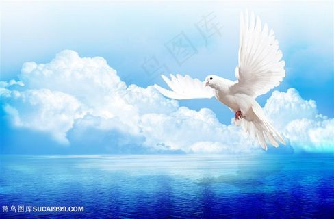 蓝天白云大海与白鸽