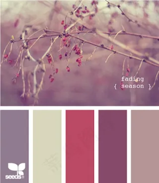 冬天系配色色卡色彩搭配