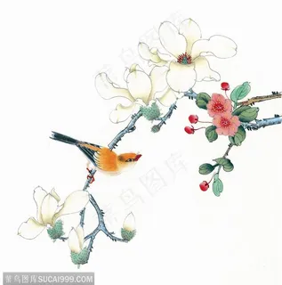 水墨图中国画-玉兰花花枝上的喜鹊