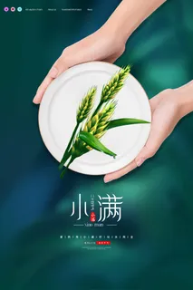 小满 传统节气海报 小满 传统节气海报