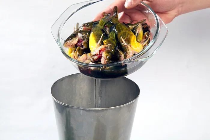 CXC01662活渡黄辣丁88斤