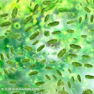 微生物高清图