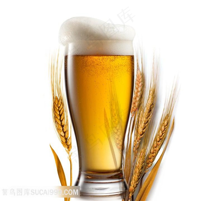 麦芽酒小麦酒啤酒